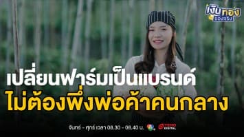 แค่มีมือถือก็ขายได้! คู่มือเริ่มต้นขายสินค้าเกษตรออนไลน์ ฉบับง่าย ๆ สำหรับชาวสวน | เงินทองของจริง