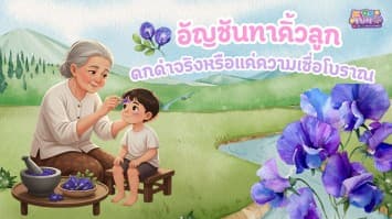 อัญชันทาคิ้วลูก ดกดำจริง หรือแค่ความเชื่อโบราณ