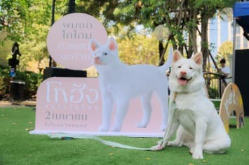 “GDH” แถลงข่าวเปิดตัวภาพยนตร์ “โกฮัง..หัวใจโกโฮม”  เสิร์ฟโมเมนต์สุดอบอุ่น เปิดตัว ‘เจ้าโกฮัง’และเหล่านักแสดงนำเป็นครั้งแรก 