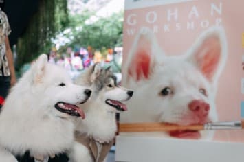 GDH จับมือ CPN จัดกิจกรรม โกเวิร์กช็อปไปกับเจ้าโกฮัง เนรมิตพื้นที่ศูนย์การค้า “CENTRAL WESTVILLE - CENTRAL EASTVILLE” รวมงานคราฟต์ สุดคิวต์ โดนใจกลุ่มคนรักสัตว์เลี้ยง