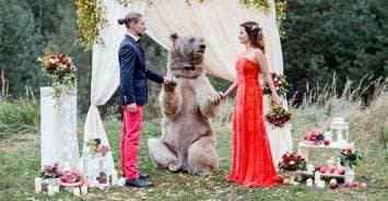 คู่บ่าวสาวรัสเซียสานฝันให้เป็นจริง เชิญหมีสีน้ำตาลตัวยักษ์มาร่วมเป็นพยานในงานวิวาห์