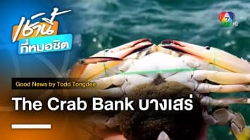 The Crab Bank บางเสร่ กำไร ธนาคารยั่งยืน | Good News by Todd Tongdee