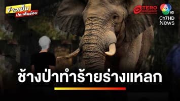 สลด ! ช้างป่าพังกำแพง ทำร้ายคุณตาวัย 80 ปี ร่างแหลกเสียชีวิต | ข่าวเย็นประเด็นร้อน